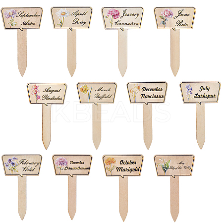 2 Bags Wooden Plant Labels DIY-CP0012-70-1