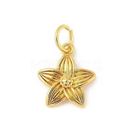 Brass Charms KK-Z107-05G-02-1