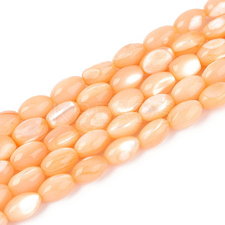 Natural Trochus Shell Beads Strands SHEL-K006-19-01G-1