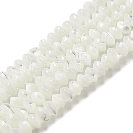 Natural Trochus Shell Rondelle Beads Strands SSHEL-H072-01B-1