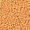 6/0 Glass Seed Beads SEED-L011-08A-19-3