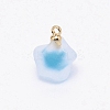 Resin Frosted Pendants MP-TAC0009-03I-2