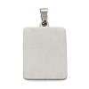 Non-Tarnish 304 Stainless Steel Pendants STAS-K216-48P-P-2