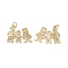 Brass Micro Pave Cubic Zirconia Pendants KK-E068-VB117-1
