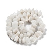 Natural Rainbow Moonstone Beads Strands G-D091-A07-3