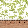 Baking Paint Glass Seed Beads X-SEED-S042-05B-62-4