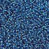 MIYUKI Round Rocailles Beads X-SEED-G007-RR0025-3