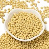 6/0 Opaque Baking Paint Glass Seed Beads SEED-M012-02A-07-2