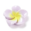 Opaque Resin Cabochons RESI-G068-02E-1