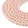 Preciosa® MAXIMA Crystal Nacre Pearls Y-PRC-NPA4-77800-4