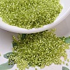 MIYUKI Delica Beads SEED-X0054-DB0147-1