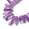 Spray Painted Electroplate Natural Quartz Crystal Points Beads Strands G-Q610-02G-3