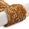 Imitation Jade Glass Beads Strands LS-EGLA-A034-T2mm-MB04-1