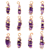 12Pcs Natural Gemstone Copper Wire Wrapped Pendants PALLOY-FG0001-02B-1