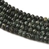 Natural Seraphinite Beads Strands G-K376-E06-4x6mm-4