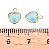 K9 Glass Charms GLAA-T023-11D-3