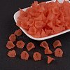 Transparent Acrylic Beads LS-PL622-C12-1