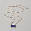 Simulated Druzy Resin Oval Pendant Necklace with Alloy Satellite Chains NJEW-WH0016-39G-04-2