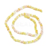 Gradient Color Electroplate Glass Bead Strands GLAA-E042-02D-2