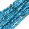 Natural Apatite Beads Strands LS-G-E411-36-2mm-01-1