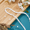 2 Strands Natural Freshwater Shell Beads Strands SHEL-HS0001-13-4