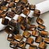 Natural Tiger Eye Beads Strands G-L239-19-2