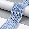 Faceted Electroplated Glass Beads Strands GLAA-C023-02-C16-3