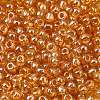 Glass Seed Beads SEED-XCP0001-33-3