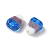Handmade Lampwork Beads LAMP-Z014-01E-3