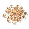 Transparent Glass Charms LS-GLAA-P070-A05-2