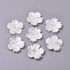 Natural White Shell Beads BSHE-XCP0001-84-1