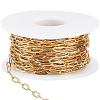 10M Ion Plating(IP) 304 Stainless Steel Paperclip Chains CHS-BBC0001-06-1