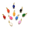 Brass Enamel Charms KK-C106-05G-1