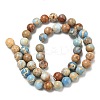 Natural Imperial Jasper Beads Strands G-I122-8mm-13-5