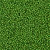 TOHO Round Seed Beads X-SEED-TR11-0306FM-2