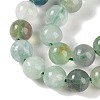Natural Fluorite Beads Strands LS-G-P530-B04-03-3