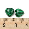 Dyed Synthetic Malachite Cabochons G-H309-01-09-3
