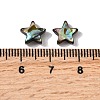 Natural Abalone Shell/Paua Shell Beads SHEL-B003-12-3