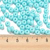 Imitation Jade Glass Seed Beads SEED-Z001-A-B06-4