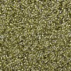 MIYUKI Round Rocailles Beads SEED-JP0008-RR1125-3