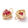 Brass Micro Pave Cubic Zirconia Charms ZIRC-A019-14G-C-2