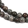 Natural Gemstone Beads Strands G-F792-C11-06-4