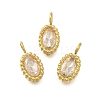 304 Stainless Steel Micro Pave Cubic Zirconia Charms STAS-U027-02G-04-1