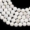 Round Grade A Natural Rainbow Moonstone Bead Strands G-M304-06-8.5mm-5