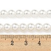 Glass Pearl Beads Strands HY-G002-01C-01-5