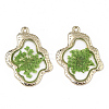 Epoxy Resin Pendants RESI-T045-028B-2
