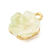 Alloy Glass Charms FIND-C079-05G-02-2