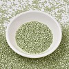 MIYUKI Delica Beads LS-X-SEED-J020-DB1815-2