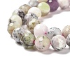 Natural African Opal Beads Strands G-K345-A03-03-4