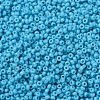 MIYUKI Round Rocailles Beads X-SEED-G007-RR4478-3